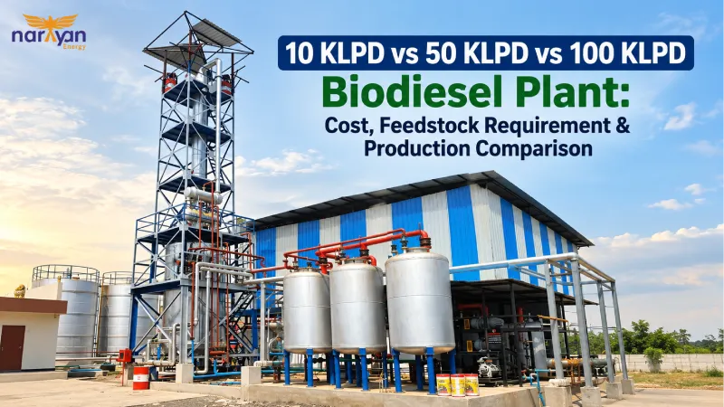 10 KLPD vs 50 KLPD vs 100 KLPD Biodiesel Plant: Cost, Feedstock Requirement & Production Comparison