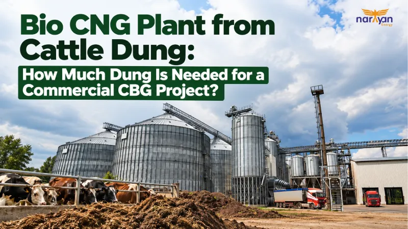 Bio CNG Plant from Cattle Dung: How Much Dung Is Needed for a Commercial CBG Project?