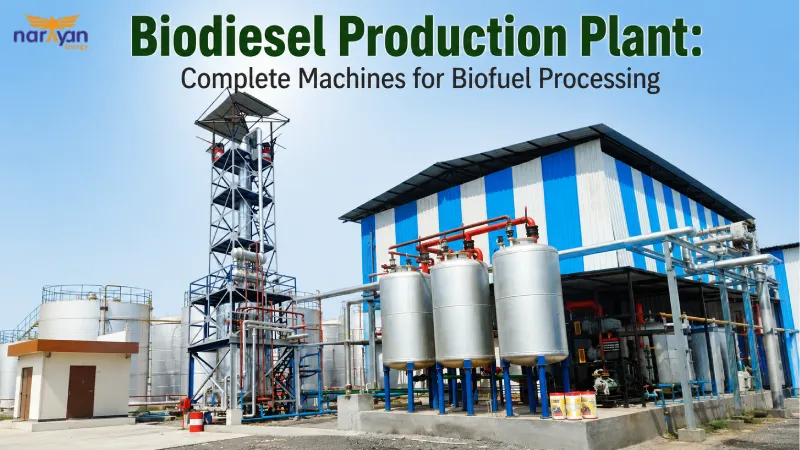 Biodiesel Production Plant: Complete Machines for Biofuel Processing